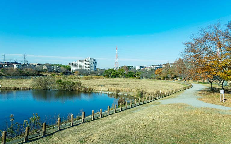 長津川ふれあい広場